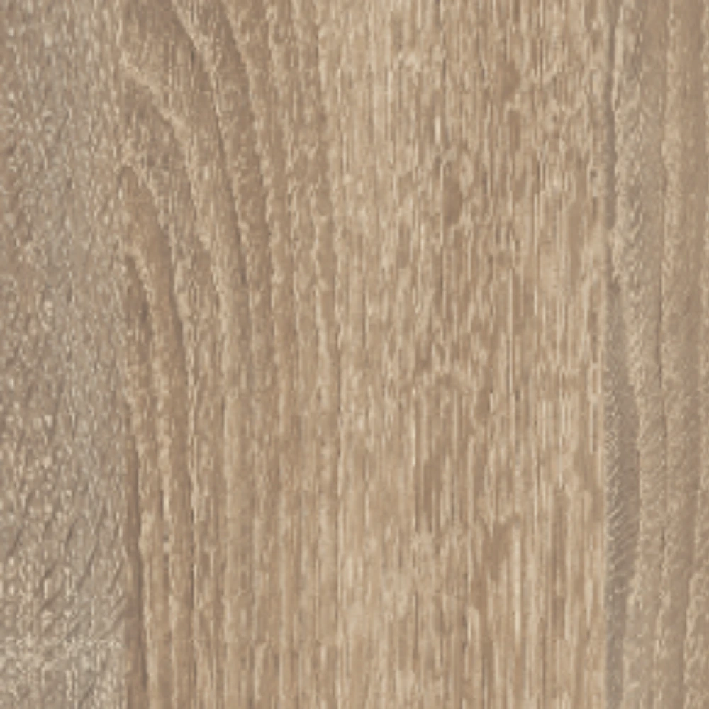 Canape_Lift_cambrian